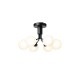 NUURA / APIALES 6 CEILING�������ŵ�����