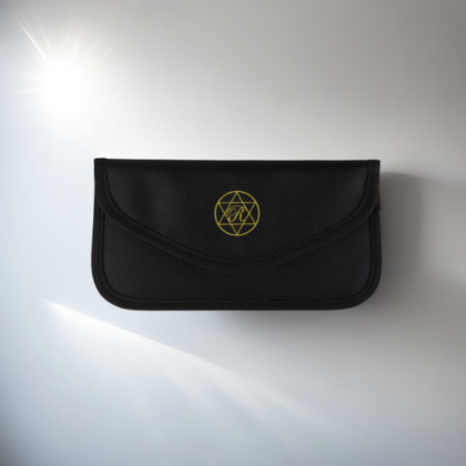 WISH DENJIHA POUCH �Ƕ���