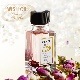 WISH OIL NL.11 �إ��HERA�ˡ�����Ρ���������