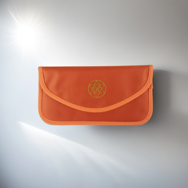 WISH DENJIHA POUCH �Ƕ�LOVE��