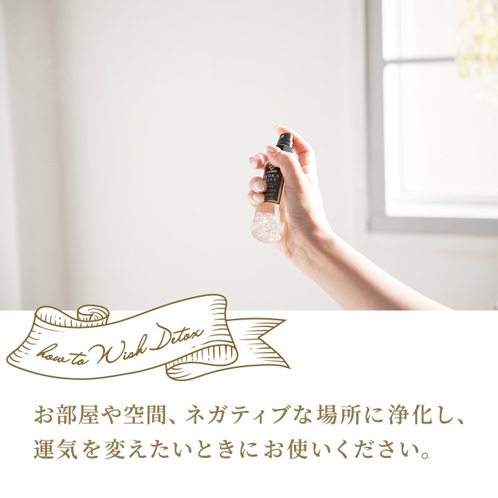 WISH DETOX �������ץ졼��Ƕ��Ɀ��