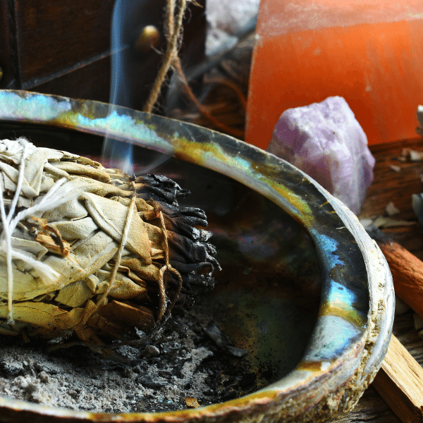 WISH DETOX ���Х��󥷥�����ۥ磻�ȥ�������Ƕ�����