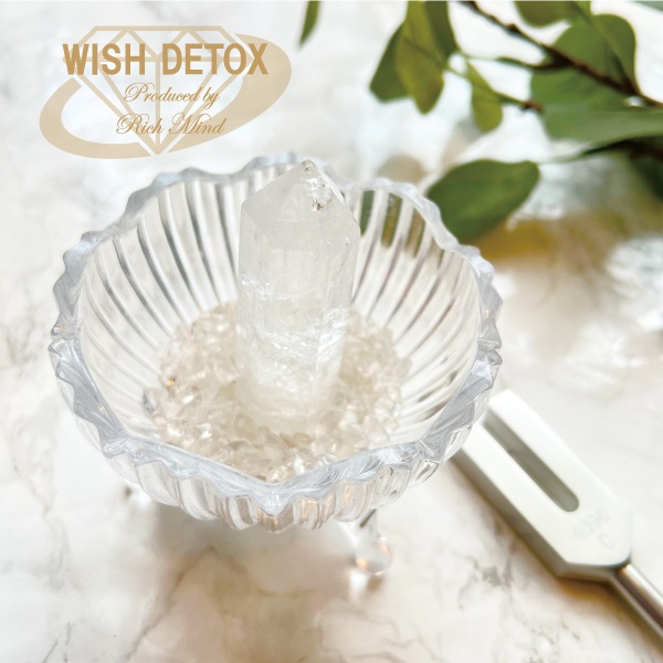 WISH DETOX ONSA åȡǶ