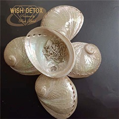 ��10�󥪥ա۾������������åȡ�Ƕ��Ɀ��