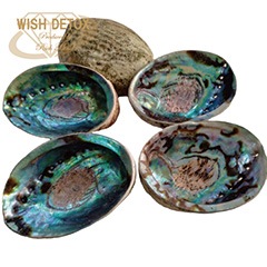 ��10�󥪥ա۾������������åȡ�Ƕ�����