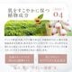 �饰��å� �ץ�ߥ������Ʊե���󥸥󥰥����� 100mL