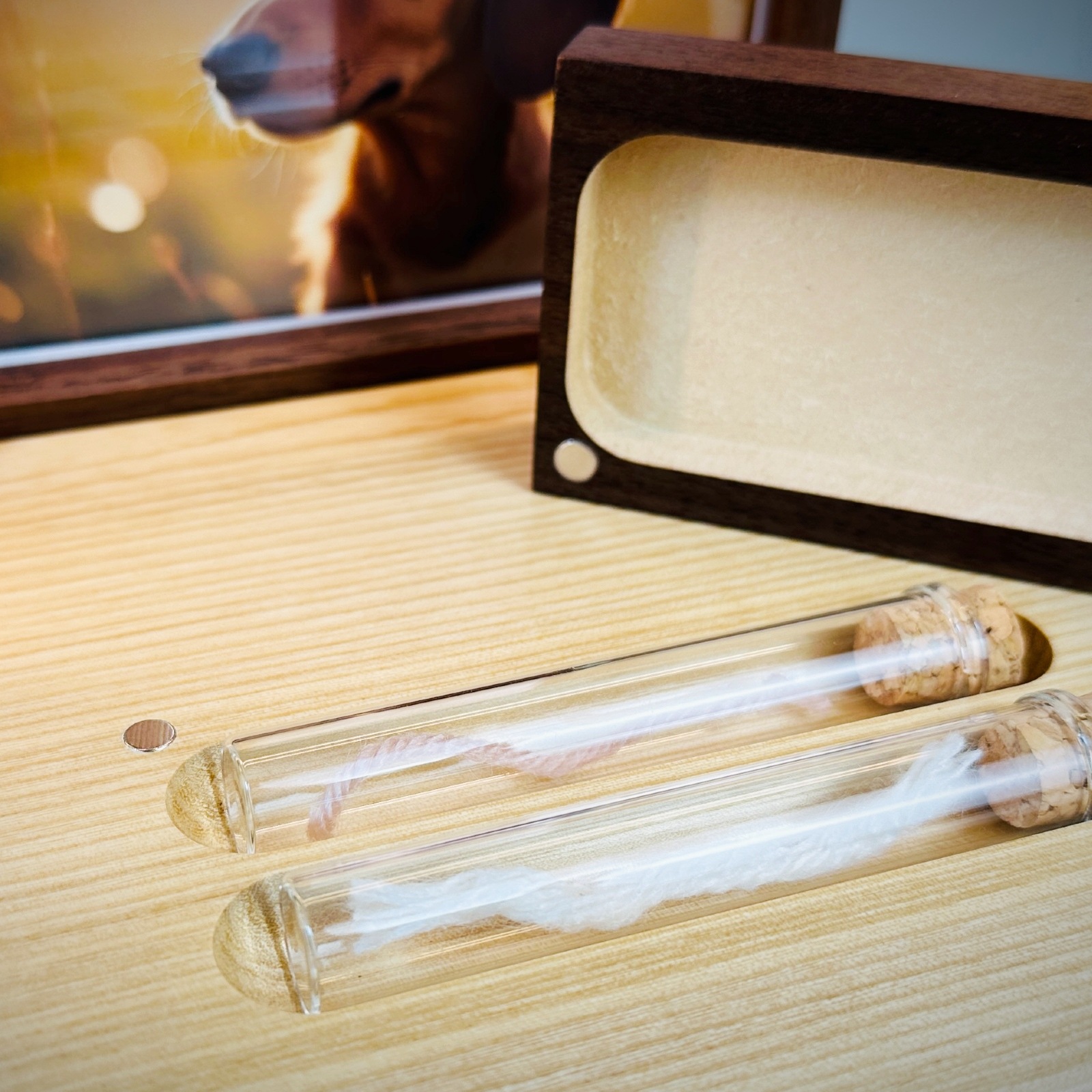 『ペットメモリアルステージ　ペットのお仏壇』