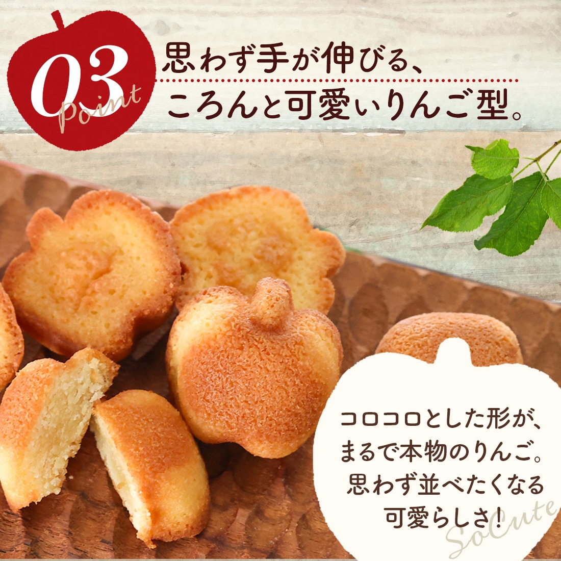 ��󤴤ȥХ������ե��ʥ󥷥� 21���� �����ȯ�� proper