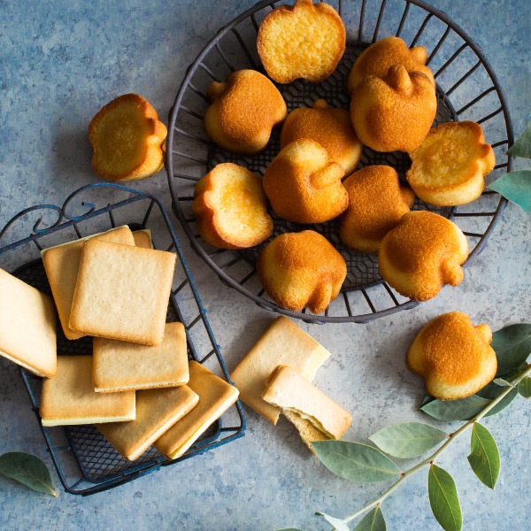 󤴤ȥХեȥåM  ̵ ȯ Agift