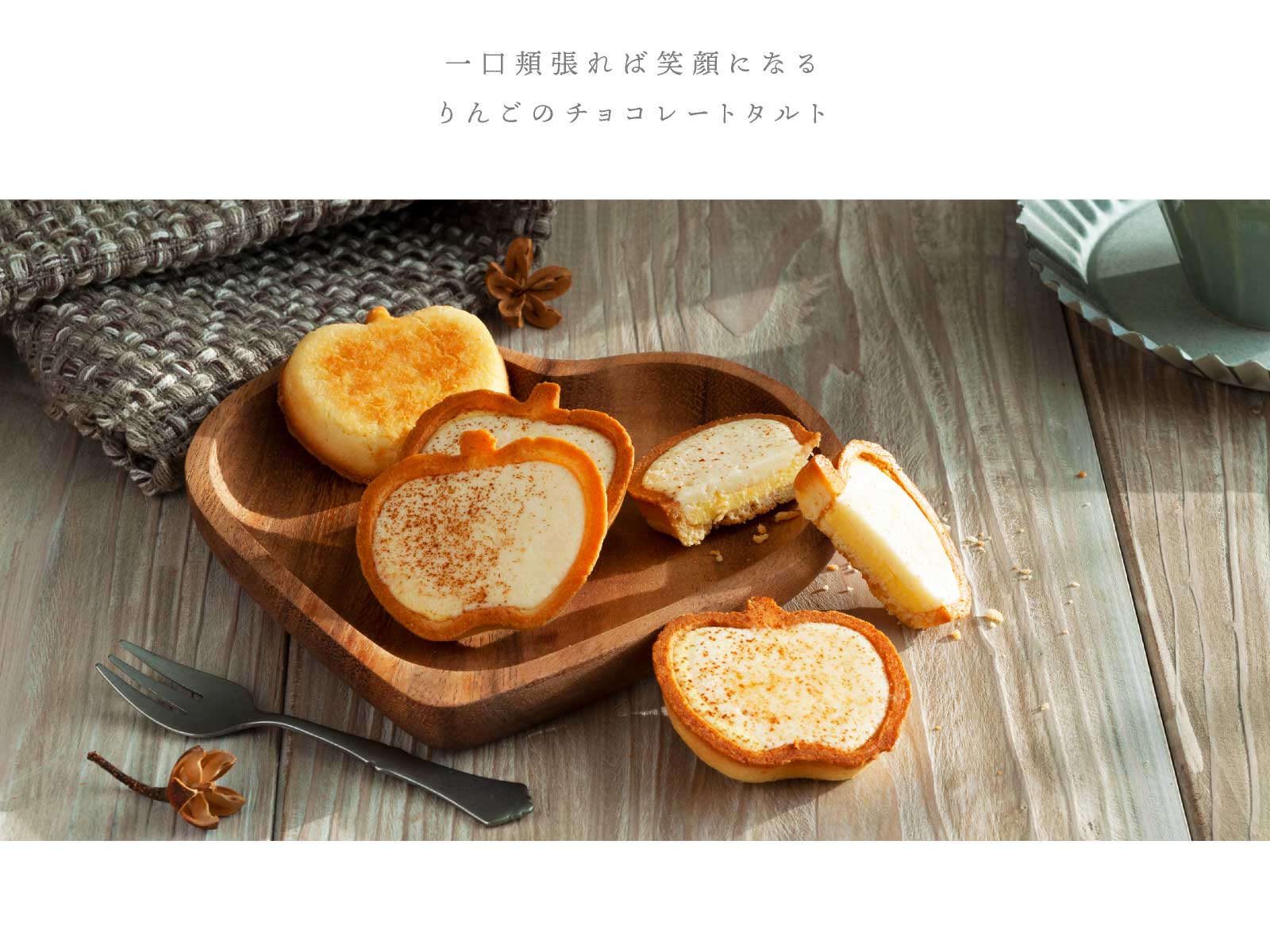ƥե 渵 󤴤ȥХ COBACO 祳졼ȥ2 | ȯ Pgift