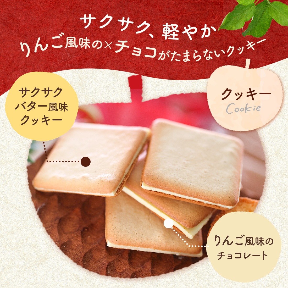 �Х�󥿥��� ���ե� ��󤴤ȥХ�������3��Υ��եȥ��åȡ�M����������� ��� ����̵�� �����ȯ�� Agift