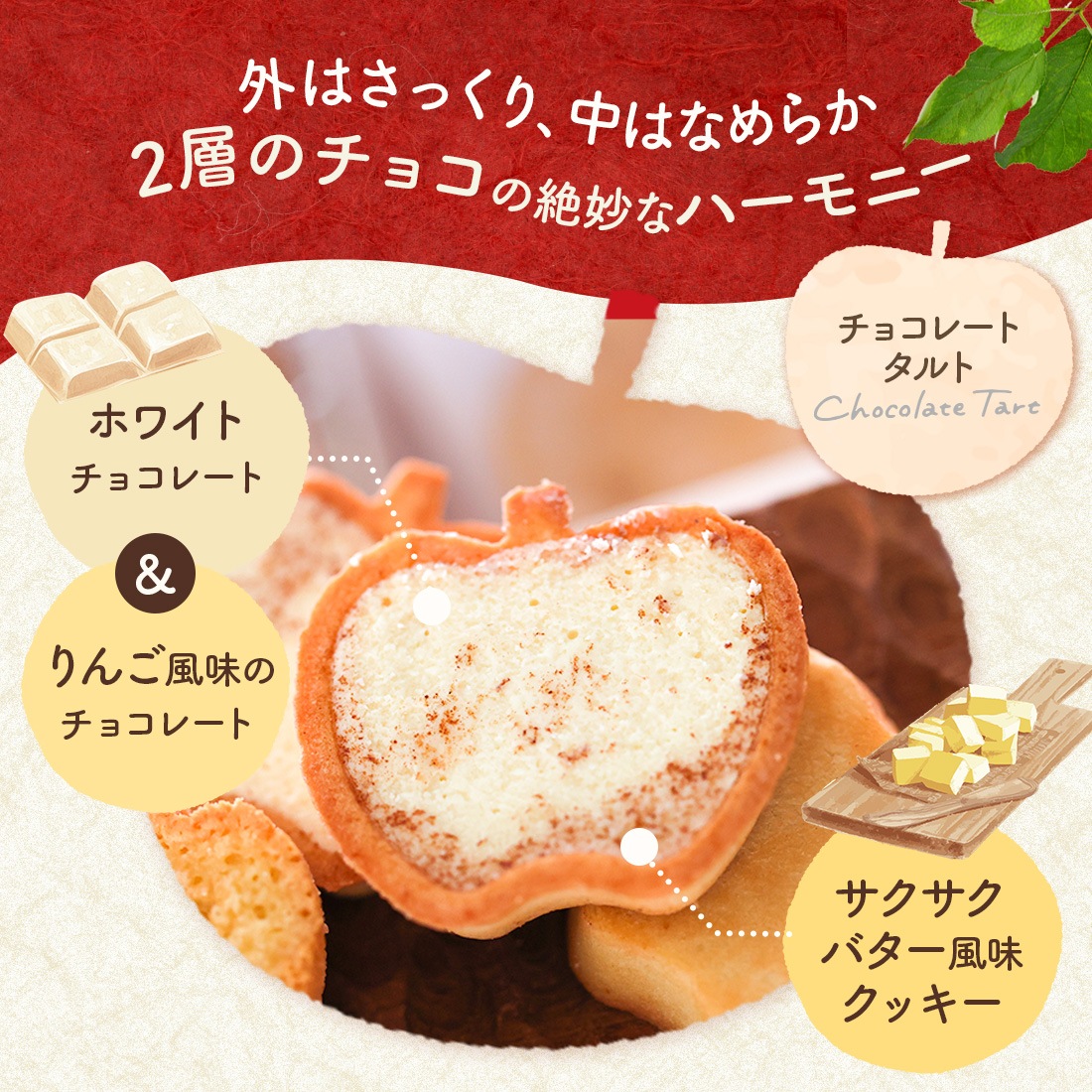 �Х�󥿥��� ���ե� ��󤴤ȥХ�������3��Υ��եȥ��åȡ�M����������� ��� ����̵�� �����ȯ�� Agift