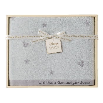 �ǥ����ˡ����˴ꤤ��Х������롡�饤�ȥ��졼3125-081