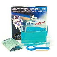 ANTQUARIUM size L - ����ȥ����ꥦ�� - ������