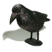 KIKKERLAND the CROW  ���饹 ���֥��� BLACKBIRD