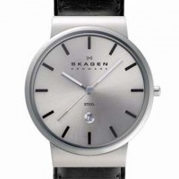 �Ը���� SKAGEN ����ӻ��� J351 XLSLB1 ����������