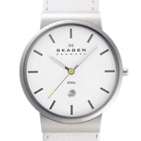 �����ܸ���� SKAGEN ����ӻ��� J351 XLSLW ����������