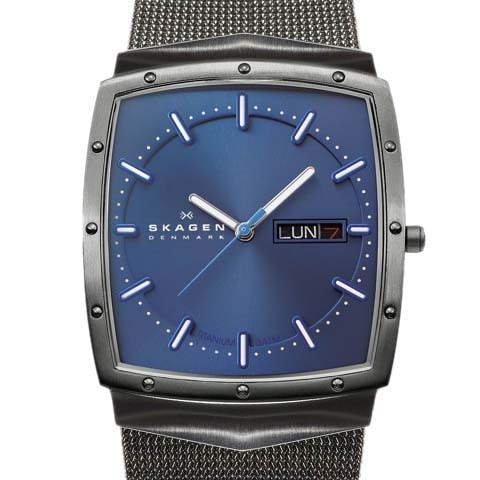 ��1000�ܸ���� SKAGEN ����ӻ��� J396LTTB Ocean