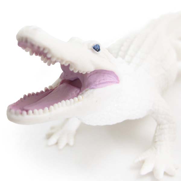 Safari Ltd】サファリ White Alligator ホワイト アリゲーター 白ワニ