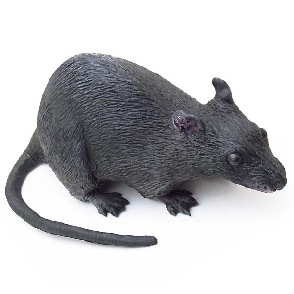 �ͤ��� ���֥��� ��å�