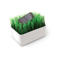 KIKKERLAND ڥåɡ ߥ 㡼 ơ