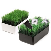 KIKKERLAND ڥåɡ 㡼 ơ