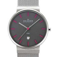 �����ܸ���� SKAGEN ����ӻ��� J351LSSMP ����������