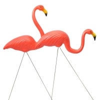 ڥԥ եߥ åץPink Flamingo ץ饹å ֥