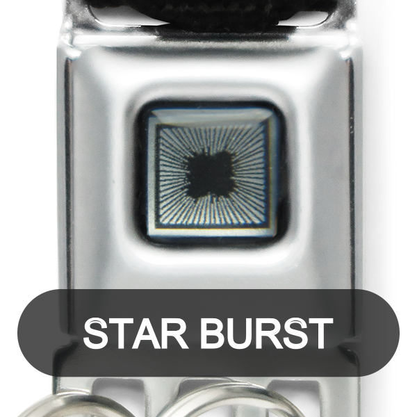 Buckle Down �ڥХå��������� mini �����ȥ٥�� ������������