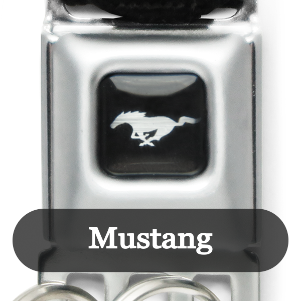 Buckle Down �ڥХå��������� mini �����ȥ٥�� ������������