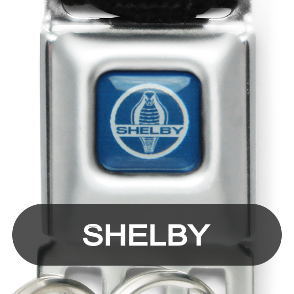 Buckle Down �ڥХå��������� mini �����ȥ٥�� ������������