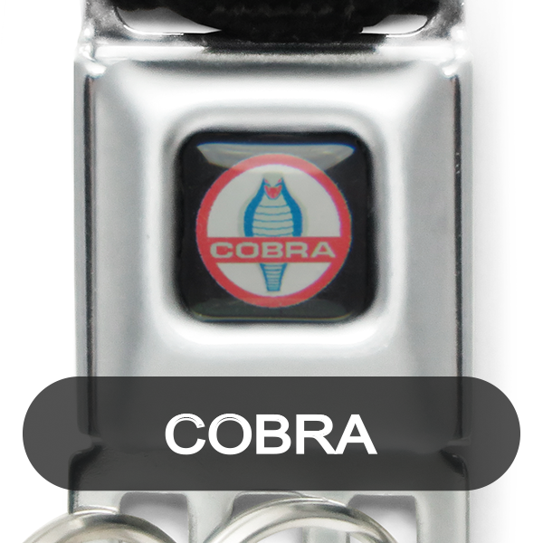 Buckle Down �ڥХå��������� mini �����ȥ٥�� ������������