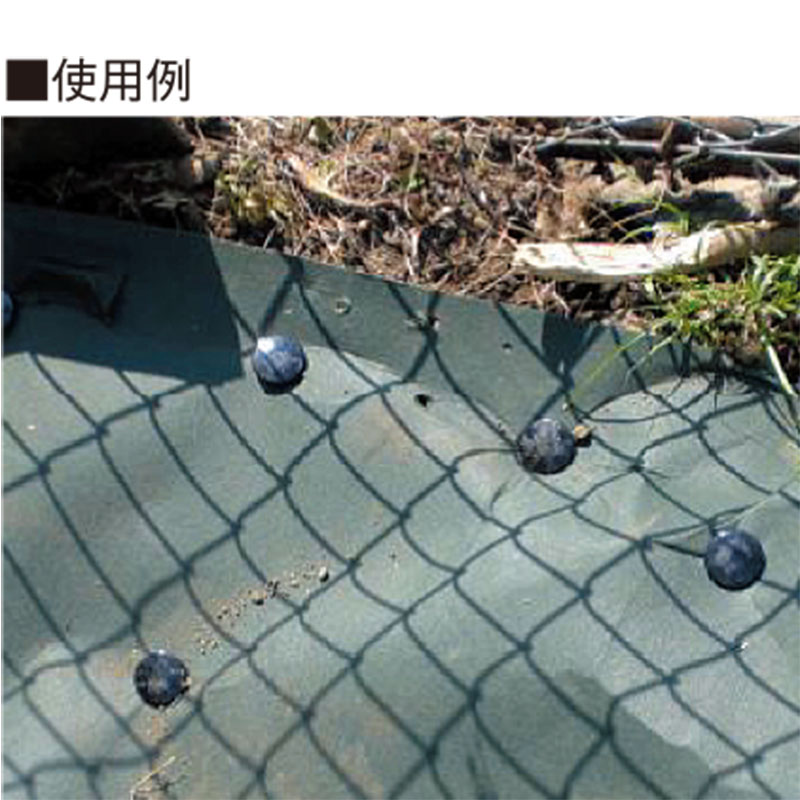 プラシート止め杭　頭部30角 NO.プレート対応　プレートくんタイプ 200本セット　ABS製 シートの止め杭として大活躍