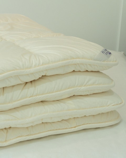 �饰���奢�꡼��2�ء˥�����٥åɥѥå�