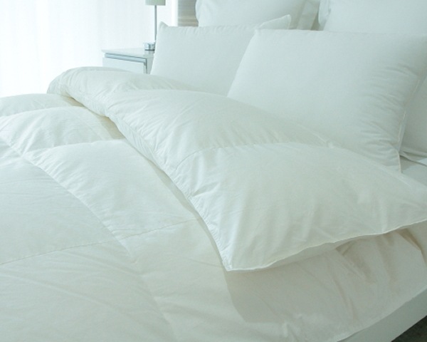 �����ڥꥢ���ߥɥ륷������