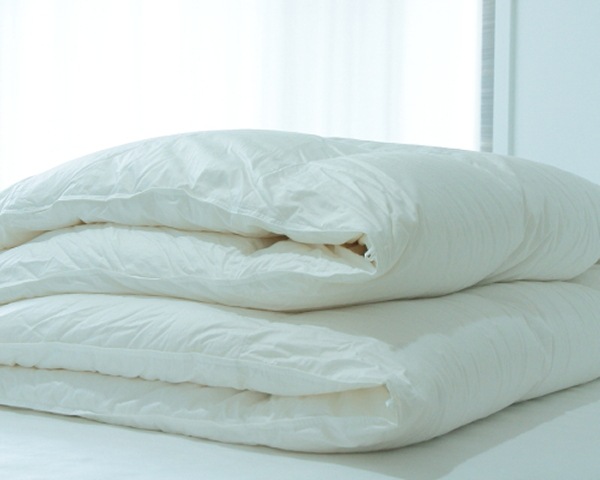 �����ڥꥢ���ߥɥ륷������