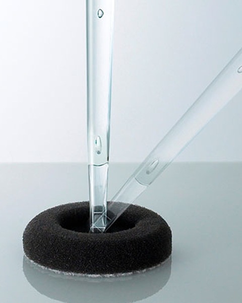 ���ݥ󥸥��꡼�ʡ�