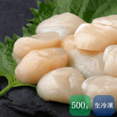 北海道産お刺身ほたて貝柱500g/網走水産（丸中しれとこ食品）/網走市