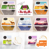 道産生乳使用アイスクリーム10個セット/あいすの家/長沼町