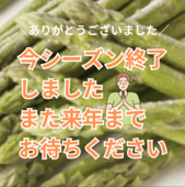 富良野産とみたグリーンアスパラガスL～2Lサイズ1㎏【ハウス栽培･4月中旬出荷開始】/とみたメロンハウス/富良野市