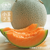 新夕張クイーン小玉2玉入（赤肉･2.6kg以上）/北海道日原/夕張郡