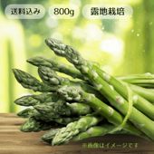 露地物グリーンアスパラL～2L混合・800g/北海道日原/夕張郡栗山町