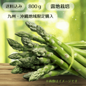 【九州沖縄送料】露地物グリーンアスパラL～2L混合・800g/北海道日原/夕張郡栗山町