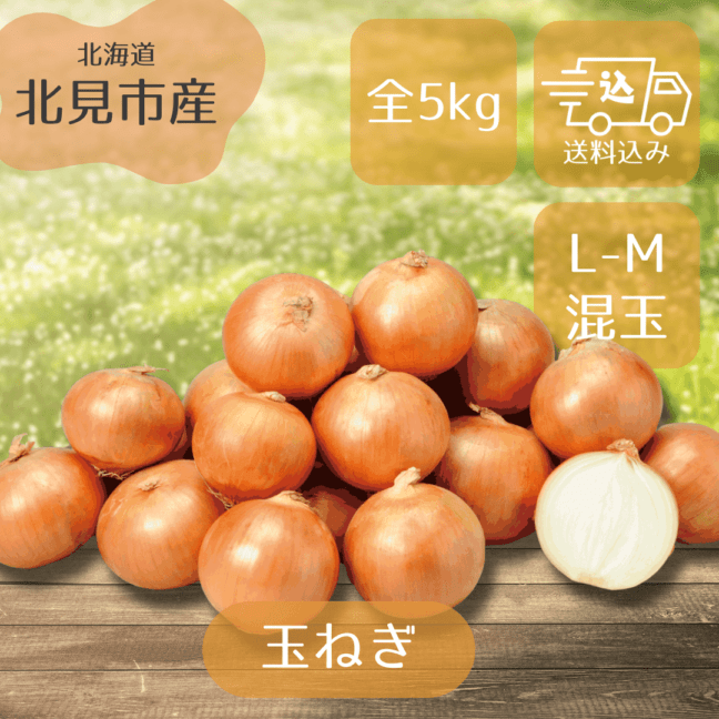 【期間限定】北見市産玉ねぎ 5kg