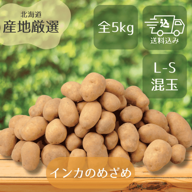 【期間限定】北海道産 インカのめざめ (L～S混) 5kg