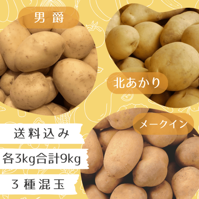 10月中旬より順次発送】北海道産じゃがいも3種セット9kg（男爵芋