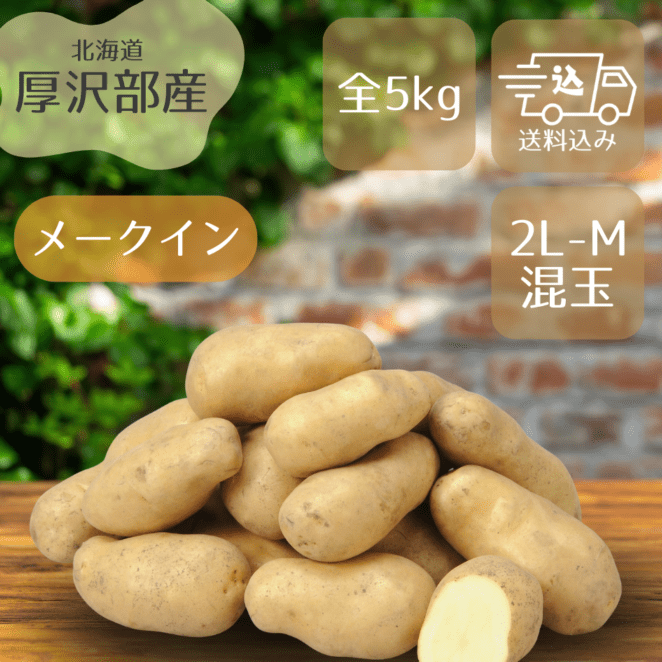 11月上旬より順次発送】北海道産 インカのめざめ (L～S混) 5kg | 野菜