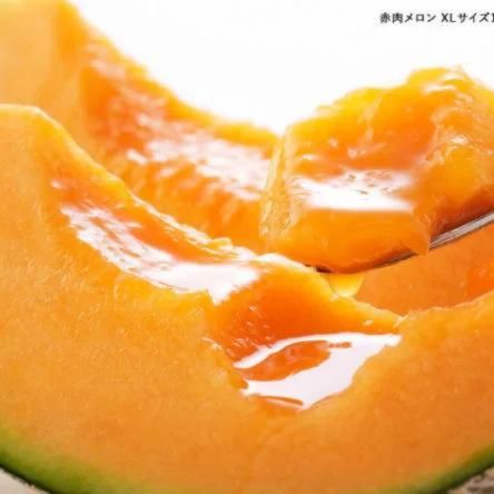 北海道富良野メロン 赤肉 4〜7玉✖︎2箱有機肥料 農家直送(c12) 北海道富良野メロン 赤肉 4〜7玉✖︎2箱有機肥料 農家直送(