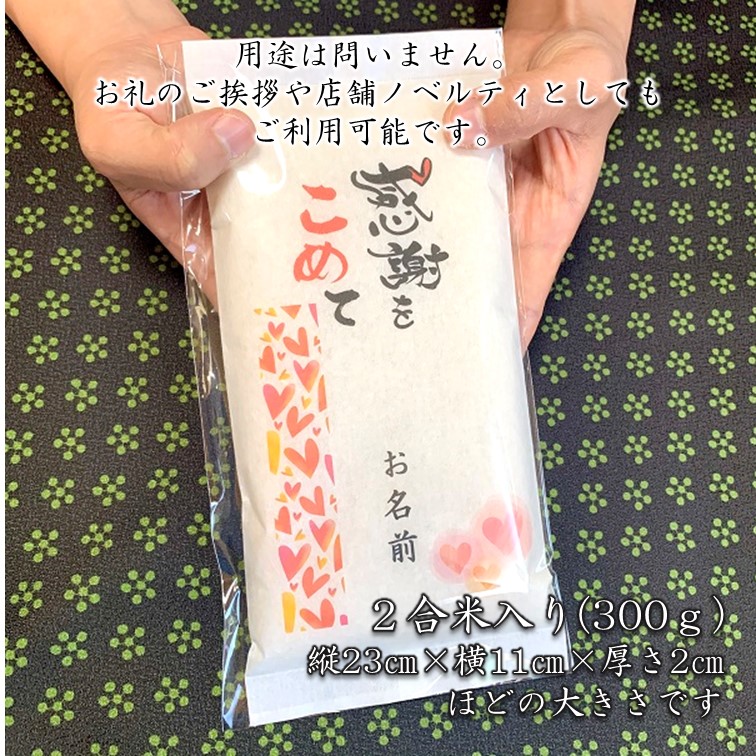 ̾2ơۥϡȥǥ ƥץե Υ٥ƥ Ź 