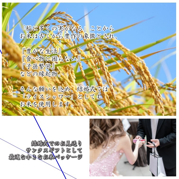 ̾1ʿޡ6٤봶դ򤳤 ƥץե 뺧 ǰ 